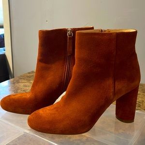 Great Condition Booties ✨ INC Taytee ✨Fall Must Have ✨